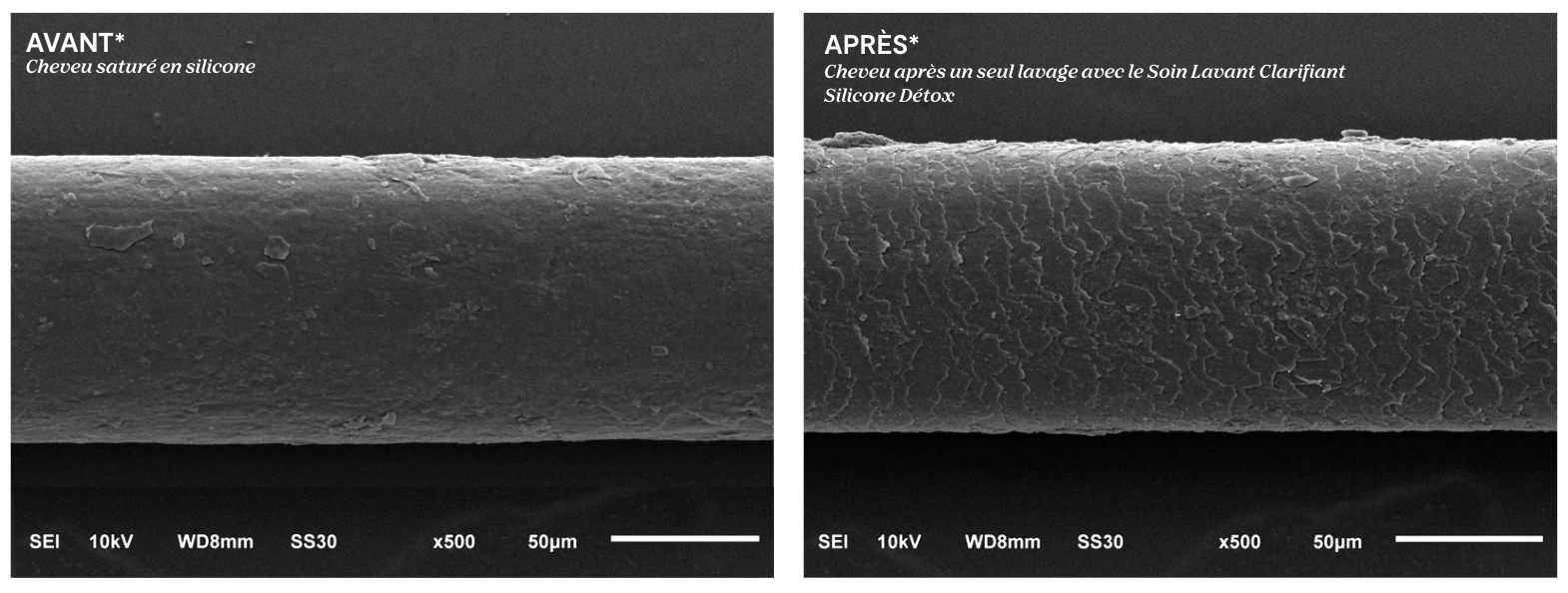 Cheveu avant et après Silicone Détox au microscope électronique à balayage, photographies prises par Bruno à l'Université Paris Cité