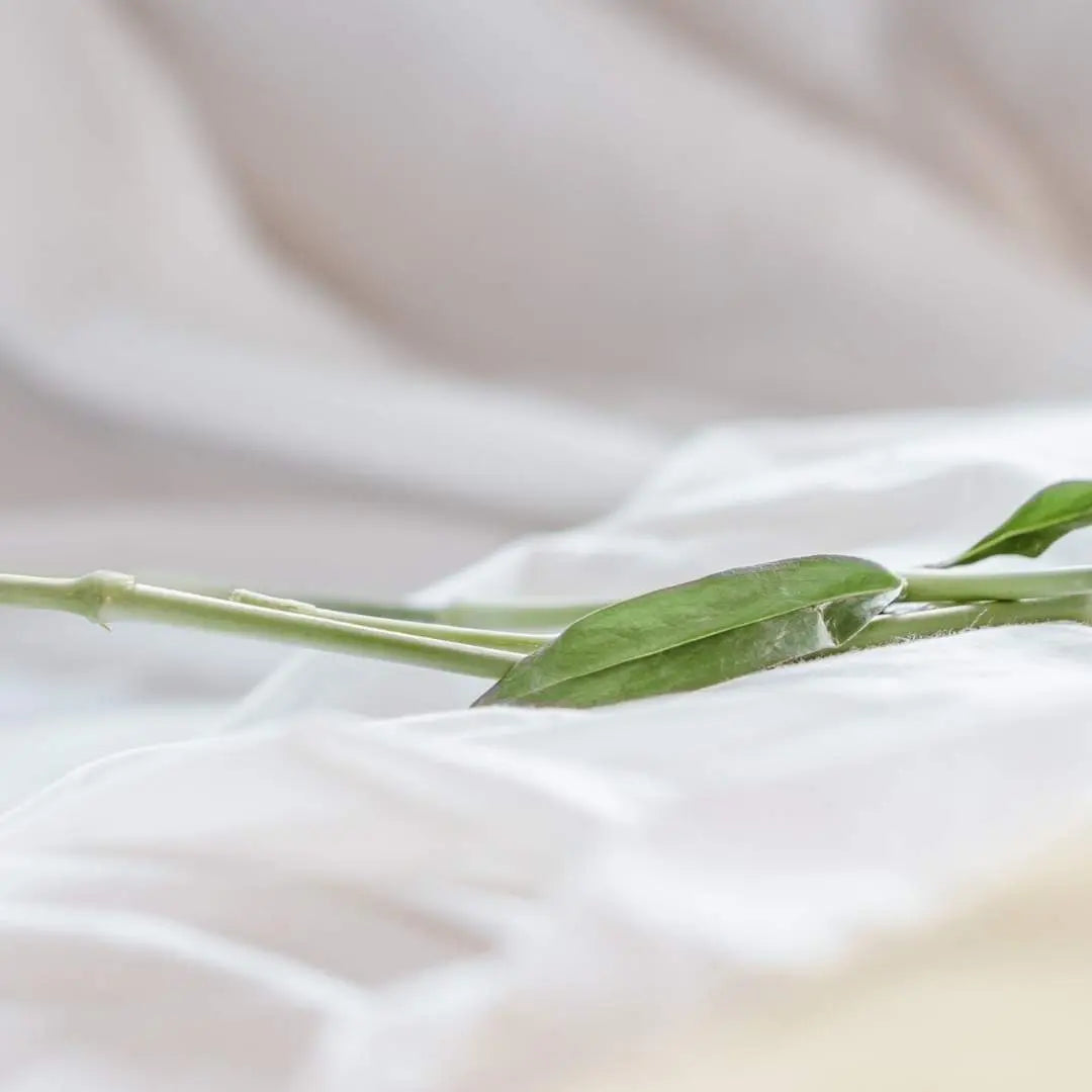 Photo d'un tissu en soie blanc avec une plante verte - LAO Care - Cheveux au naturel - Soins lavants 100% d'origine naturelle - Shampoings sans sulfates ni silicones