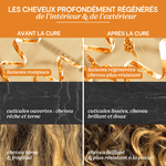Bienfaits de la Trousse Voyage Cure Régénérante LAO Care pour le cuir chevelu