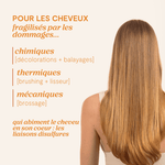 Problématiques capillaires ciblées par la Trousse Voyage Cure Régénérante LAO Care