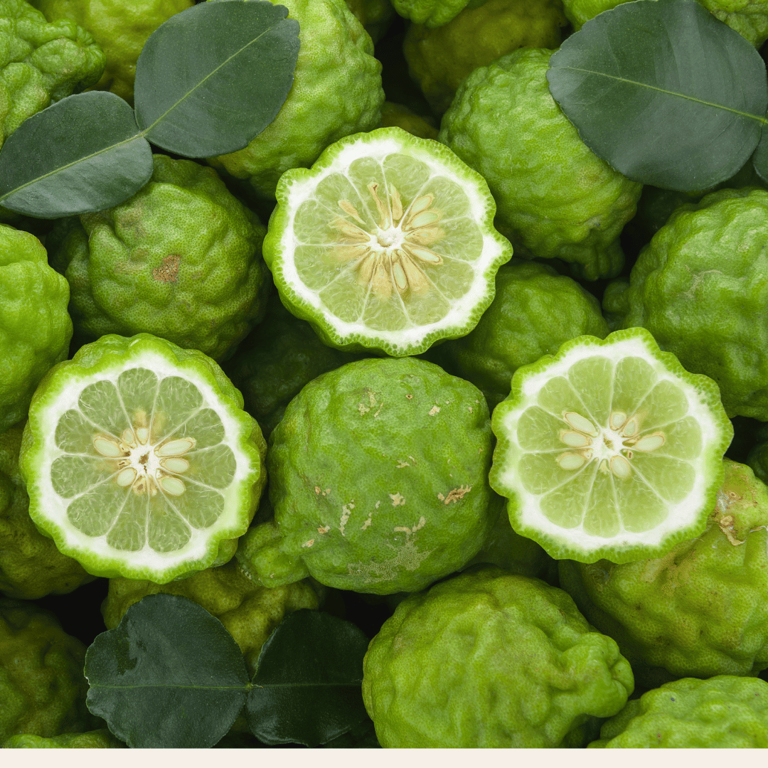 Bergamote
