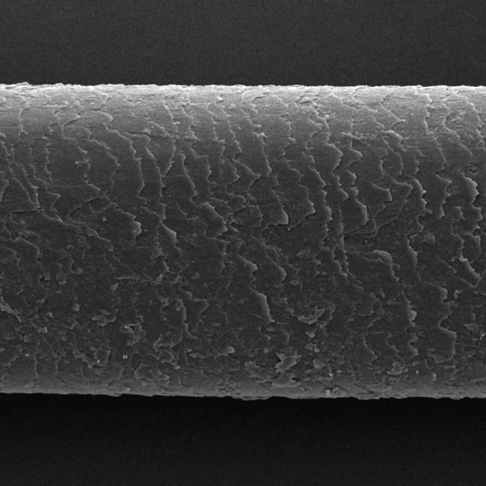 Cheveu démaquillé vu au microscope
