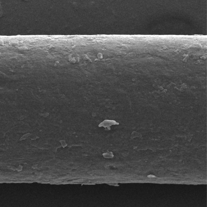 Cheveu siliconé vu au microscope